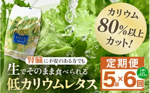 定期便 ≪6ヶ月連続お届け≫ 【機能性×美味しさ】低カリウム水耕レタス JOIA（ジョイア） 約65g×5袋（栽培期間中農薬不使用・洗わず食べられる）　【野菜 生野菜 レタス サラダ お弁当 水耕栽培 洗わず食べられる 時短 付け合わせ】[m40-c003]