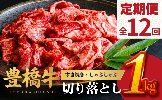 【12回定期便】豊橋牛 切り落とし 1kg | 牛肉 肉  国産牛 肉 焼肉 すき焼き 定期便 しゃぶしゃぶ すきやき お楽しみ 人気 冷凍  豊橋市  