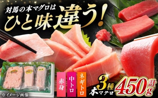 冷凍 マグロ まぐろ 中トロ 中とろ 鮪 本マグロ 赤身 ねぎとろ ネギトロ たたき トロ 刺身 海鮮 海産物 魚 柵 