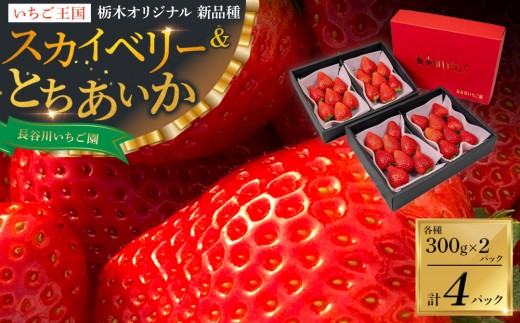 甘くて大きい！長谷川いちご園 スカイベリー