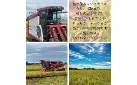 新潟県上越市のふるさと納税 新米 令和7年産 新潟県 上越市産 コシヒカリ 10kg 10キロ 精米 10月下旬より順次出荷 米 お米 白米