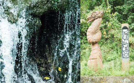 【令和7年産】 まとめて届く国際大会金賞「みやま米」 2kg×12袋 計24kg