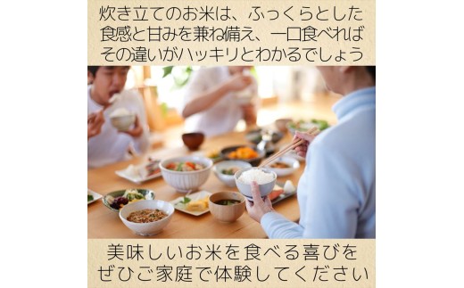 新潟県上越市のふるさと納税 新米 令和7年産 新潟県 上越市産 コシヒカリ 5kg 5キロ 精米 10月下旬より順次出荷 米 お米 白米