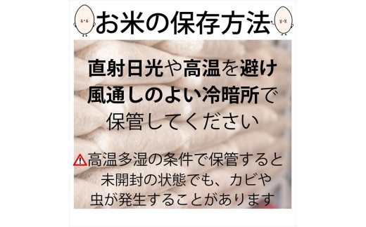 新潟県上越市のふるさと納税 新米 令和7年産 新潟県 上越市産 コシヒカリ 5kg 5キロ 精米 10月下旬より順次出荷 米 お米 白米