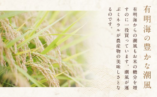 A245 銀座料亭ご愛用の白米 5kg