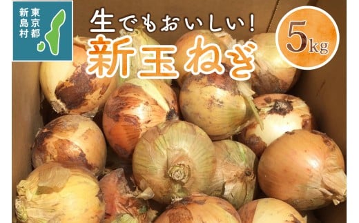 東京都 新島産 新玉ねぎ 5kg