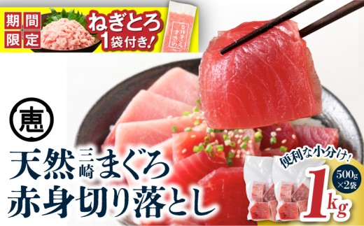 【期間限定 ねぎとろ付き】天然三崎まぐろ 赤身 切落し 1kg（500g×2袋）【2025年12月お届け】　M020-014-01-12-cp