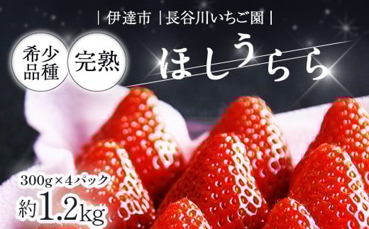 完熟いちご「ほしうらら」 約1.2kg いちご イチゴ 苺 デザート フルーツ 果物 くだもの 果実 食品 F21C-299