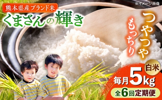 【全6回定期便】【令和7年度】 くまさんの輝き 白米 5kg (1袋) 【TKCラボ（辻米クラブ研究所）】 [AYDI004]