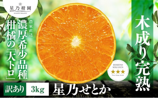 <訳あり>星乃せとか 柑橘の大トロ(3kg)<C45-87>_ 訳アリ わけあり ワケアリミカン みかん せとか フルーツ 果物 果実 くだもの 家庭用 人気 甘い ジューシー 柑橘 かんきつ 不揃い 規格外 傷 愛媛 八幡浜市 旬 産地直送 産直 季節限定【1535970】