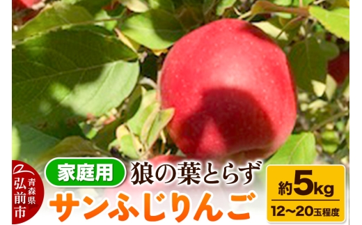 【25年12月～発送】りんご サンふじりんご 狼の葉とらず 約5kg（12玉～20玉程度）家庭用【訳あり】
