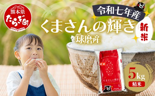 【令和7年度産 新米】球磨産 くまさんの輝き 精米 5kg 白米 お米 こめ ライス 米 新米 熊本県 多良木町 036-0203 2418855 - 熊本県多良木町