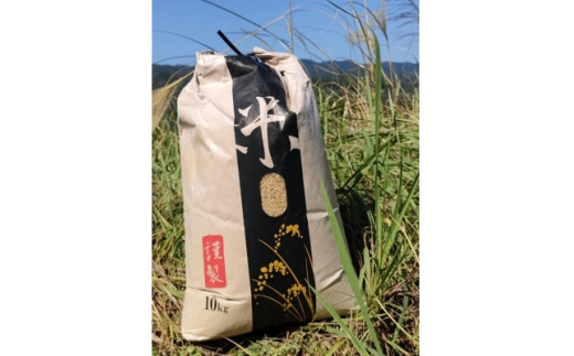 岡山県産 自然豊かな棚田米コシヒカリ(玄米) 10kg【1683370】