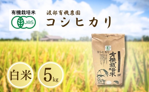 JAS有機米 コシヒカリ 白米 5kg 令和7年産 | JAS 有機米 精米 コメ 米 こめ ブランド米 銘柄 福島 福島県産 渡部有機農園 2413522 - 福島県南相馬市