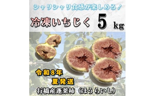 AO-013_【予約・令和８年夏発送】冷凍いちじく5kg