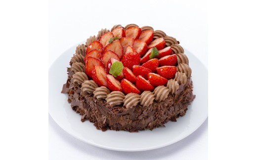 [№5258-0805]エクラン・ビジュー「チョコレートのケーキ」 お菓子 タルト 宝石箱 フルーツ 新鮮 美味しい カスタードクリーム 手作業 安心 しっとり