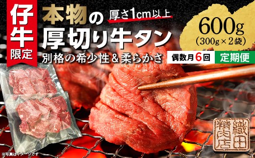 【定期便 偶数月×６回】牛タン 厚切り牛タン ステーキ 塩味 600g×6回 小分け 偶数月発送 全6回 | 厚切り牛タンステーキ 肉 焼肉 牛肉 牛たん 塩 天日塩 冷凍 BBQ バーベキュー アウトドア 厚切り タン 焼くだけ 簡単調理 真空冷凍 | 厚切り牛タンステーキ 定期便 _k-28