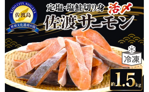 国産銀鮭「佐渡サーモン」塩鮭切身約1.5kg真空包装＜弓ヶ浜水産＞定塩さけ 2412172 - 新潟県佐渡市