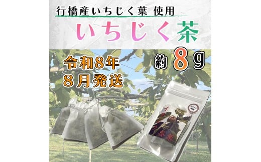 AO-020_【予約・令和８年夏発送】いちじく茶 8ｇ（2ｇ×4）