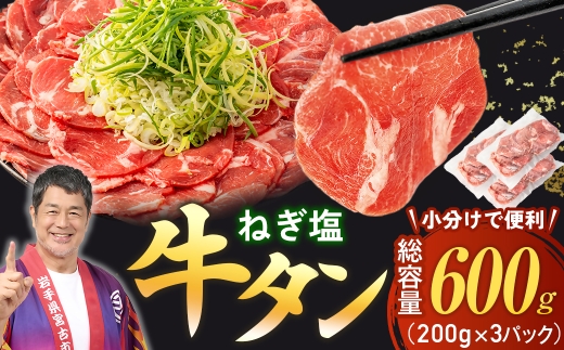 ＜訳あり＞宮古のねぎ塩牛タン 600g 成型肉【1690815】