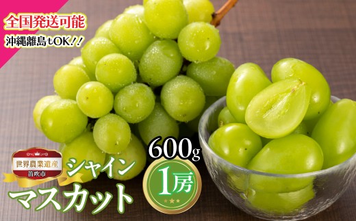 【2026年発送★先行予約】山梨県笛吹市産　シャインマスカット1房　600g  223-026-26y