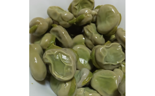 【訳あり♫ 】”みずみずしい”1粒 そら豆（3600ｇ）　from 名水の里　神奈川県秦野市　　　そら豆 そらまめ ソラマメ 野菜 農作物 産地直送 農家直送　おつまみ　おやつ　ゴールデンウィーク　大谷　小谷
神奈川県秦野　秦野　015-25-1