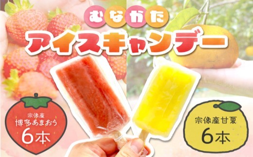 【道の駅むなかた】むなかたアイスキャンデー（宗像産博多あまおう／宗像産甘夏）各6本（計12本）_HA1021 489127 - 福岡県宗像市