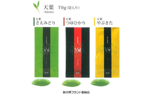 深蒸し煎茶 天葉 3袋セット【1692604】