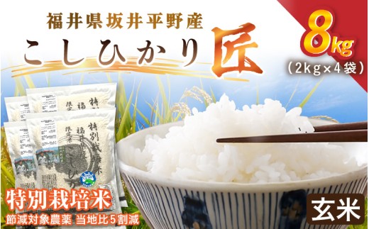 令和7年産 特別栽培米 コシヒカリ匠 8kg（2kg×4袋）節減対象農薬当地比5割減【玄米】【米 コメ お米 コシヒカリ ふるさと納税米 ブランド米 国産】 [C-2930_02] 2415733 - 福井県坂井市