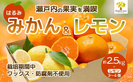 【おくはち農園】はるみ 2.5kg レモン3～4個《2026年2～3月発送予定》栽培期間中 防腐剤 ワックス 不使用 旬 柑橘 かんきつ フルーツ 果物 瀬戸内 166024