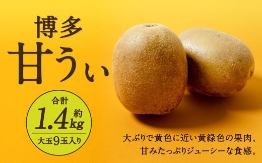 福岡県産 博多甘うぃ 約1.4kg(大玉9玉入り)【2026年10月下旬~11月下旬発送予定】キウイ キウイフルーツ フルーツ 果物 くだもの 先行予約