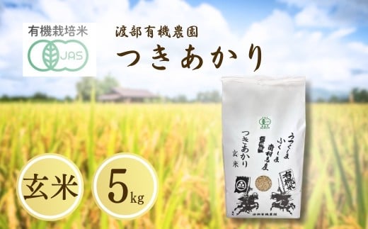 JAS有機米 つきあかり 玄米 5kg 令和7年産 | JAS 有機米 コメ 米 こめ ブランド米 銘柄 福島 福島県産 渡部有機農園