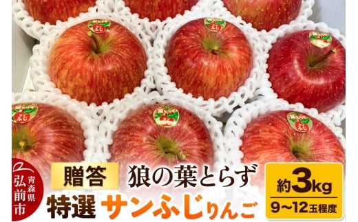 【25年12月発送】りんご サンふじりんご 狼の葉とらず 特選  約3kg（9玉～12玉程度）【贈答用】