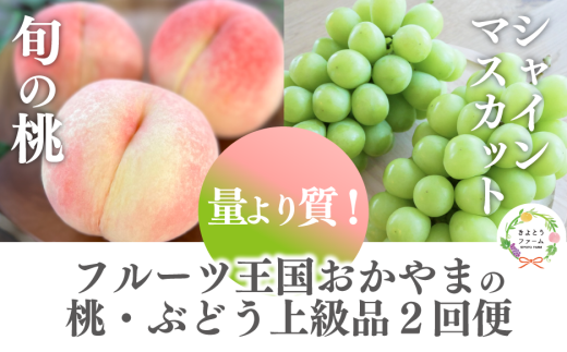 【2026年先行予約】量より質！桃とシャインマスカット、上級品の2回便 (定期便) (岡山県産)  / 8月10月 【KF-T060-01】