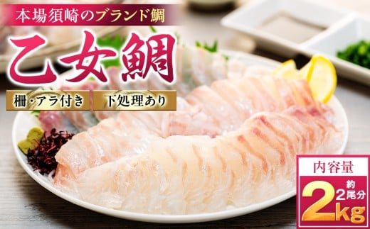 真鯛 刺身 用 柵 アラ付き 2尾 セット 2kg 本場須崎のブランド 鯛 乙女鯛 新鮮 冷蔵 刺身 お刺し身 タイ 鯛 高級魚 鮮魚 海鮮 魚介 煮付け 鯛めし 鯛茶漬け 鯛しゃぶ アラ汁 皿 高知県 須崎市