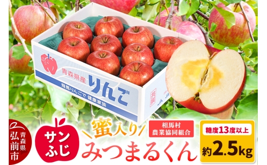 【25年11月~発送】りんご 蜜入り サンふじ(みつまるくん)約 2.5kg 糖度13度以上