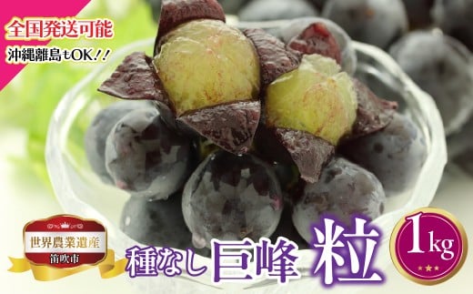【2026年発送★先行予約】山梨県笛吹市産　種なし巨峰粒　1kg　223-029-26y 2420402 - 山梨県笛吹市