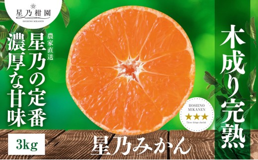 ＜三つ星ブランド＞星乃みかん(3kg)＜A45-96＞【1625777】