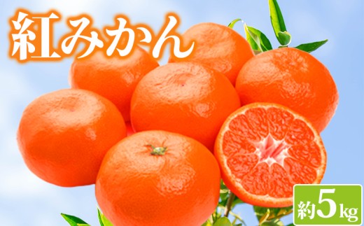 みかん 約5kg 紅みかん 小原紅早生 柑橘 ミカン 蜜柑 オレンジ 果物 くだもの フルーツ 果実 ジューシー ジュース おやつ スイーツ デザート 家庭用 12月～ 順次発送 香川県 丸亀市