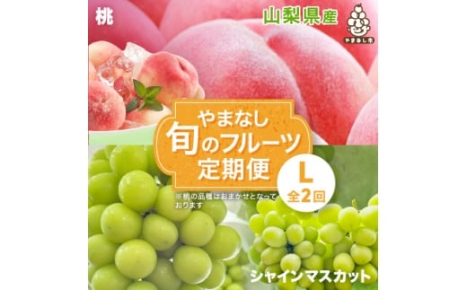 ＜発送月固定定期便＞やまなし旬のフルーツ定期便(桃・シャインマスカット)＜L＞全2回【4077910】