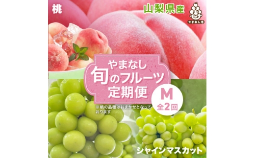 ＜発送月固定定期便＞やまなし旬のフルーツ定期便(桃・シャインマスカット)＜M＞全2回【4077909】