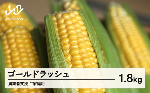 《先行予約》2026年 山形県産 農業者支援 ご家庭用 ゴールドラッシュ 1.8kg とうもろこし トウモロコシ コーン 夏 野菜 やさい ※沖縄・離島への配送不可 送料無料  ot-cngwx1800 2421783 - 山形県山辺町
