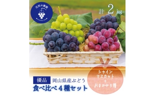 ＜2026年先行受付＞岡山　花笑み農園の『食べ比べ4種』シャイン入り　優品　2kg(4房)4M-2優【1593520】