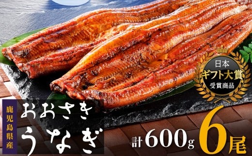 数量限定 鹿児島県産うなぎ長蒲焼6尾 約100g×6尾 鰻 国産うなぎ蒲焼き たれ うな重 ひつまぶし ウナギ 蒲焼 人気 おすすめ 鹿児島県 大崎町 A920