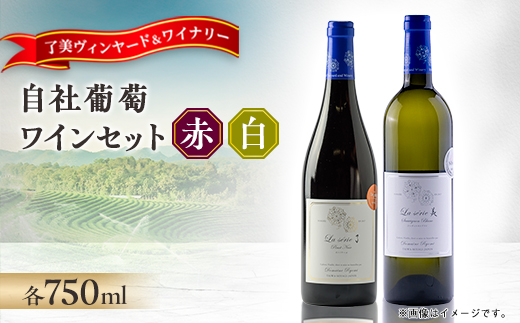 自社葡萄を使用したワイン2本セット  ピノノワール・ソーヴィニヨンブラン　750ml×各1本【1599871】