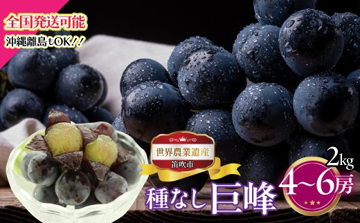 【2026年発送★先行予約】山梨県笛吹市産　種なし巨峰　2kg　4～6房 223-004-26y 2420401 - 山梨県笛吹市