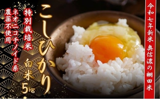 <令和７年産 新米> 特別栽培米 『奥信濃の棚田米 実の里』 こしひかり 精米 5㎏ (7-19B) お米 コメ 白米 ご飯 長野県 信州 飯山市 新米 令和7年 コシヒカリ 産地直送 農家直送 2246357 - 長野県飯山市