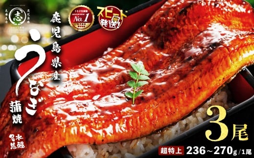 【数量限定】鹿児島県産うなぎ蒲焼 名水慈鰻 超特大サイズ３尾(1尾あたり236~270g)＜計約750g＞ うなぎ 鰻 ウナギ 2尾 国産 蒲焼 かばやき 冷凍 真空 真空パック 無頭 うな重 ひつまぶし タレ 山椒 b2-049