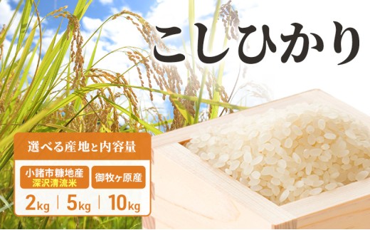 小諸市糠地産こしひかり「深沢清流米」御牧ヶ原産 2kg 5kg 10kg 選べる容量 長野 信州 コシヒカリ 精米 美味しいお米 お取り寄せ おこめ 白米[№5915-0004-01]