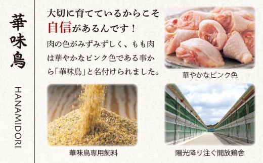 福岡県筑前町のふるさと納税 ＜期間限定！～12月31日まで寄附額改定＞【年内発送】博多華味鳥　水たき・もつ鍋セット ６～８人前 H-C1W【もつ鍋 もつなべ 鍋 なべ もつ 鍋セット 鍋料理 牛もつ 水炊き 肉 鶏 水炊き お肉 水炊き とりにく 水炊き 有名店 水炊き 食品 福岡名物 人気 おすすめ 送料無料 はなみどり ギフト福岡県 筑前町 AS005】